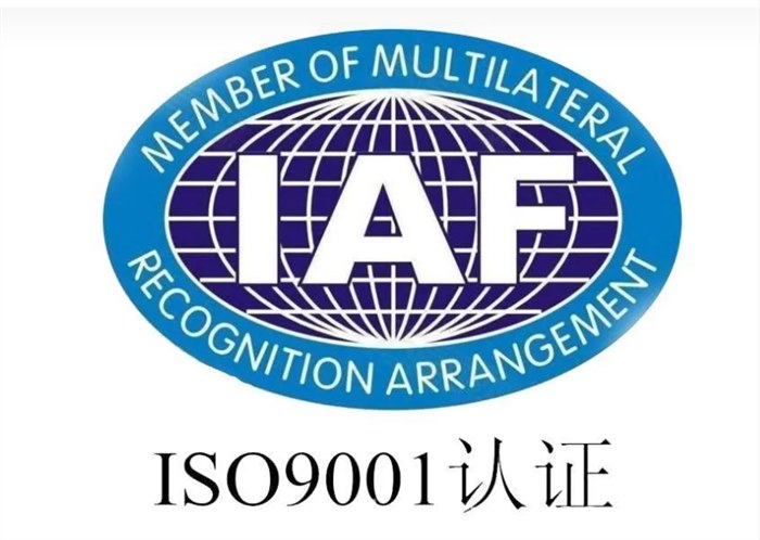 公司通过SGS ISO 9001 体系认证